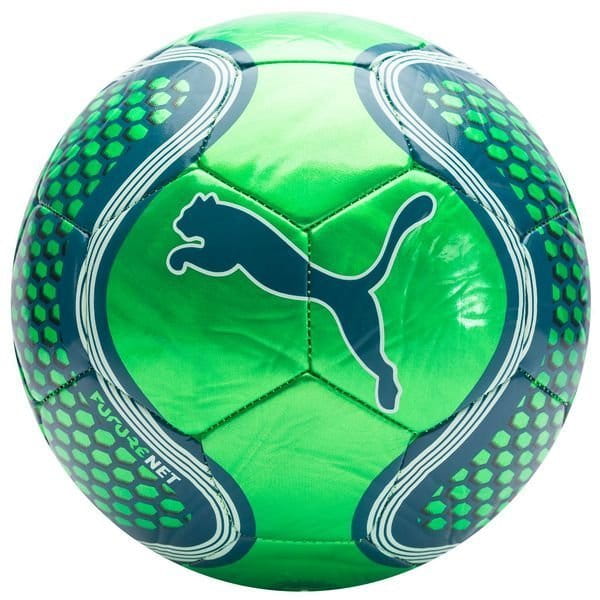 Minge Puma FUTURE Net ball